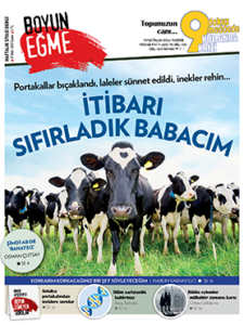 boyun_egme_sayi_67