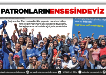 pemuhaberatoranli_bg