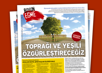 siteye-4
