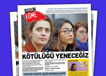 siteye_1