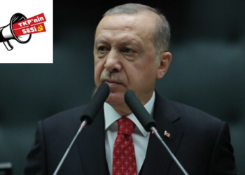 tkpninsesi_07102019