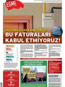 boyunegme205_kapak