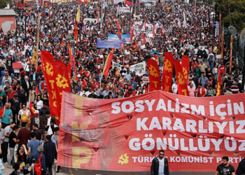 tkpgonullusuolun