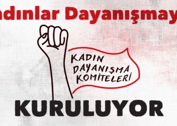 kdk_site