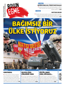 boyunegme_sayi246_kapak